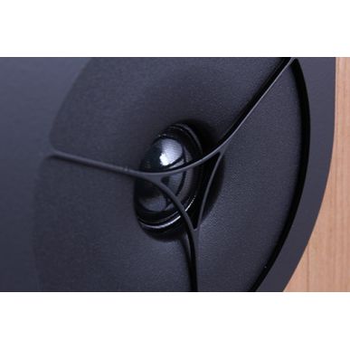 Полочная акустика Rega RX-1